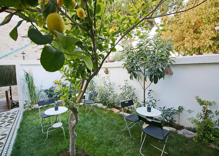 Homeros Butik Dikili